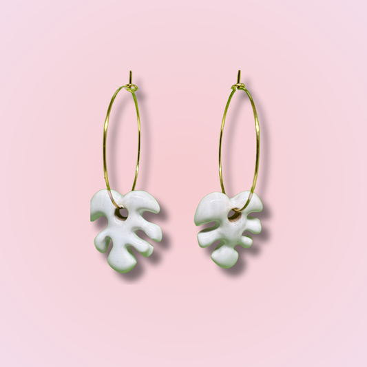Monstera White